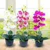 Decorative Flowers & Wreaths Set Artificial Orchid Pot Showcase Shelf Imitation Potted Plant Decoration Home Flowerpots Desktop Ornaments Gi