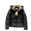 Giacche Spesse Giacca da uomo nuova Cerniera Giù Parka da donna Stampa di lettere Coppie invernali Cappotto di design Capispalla Nero Piumino corto per gilet Abbigliamento londinese