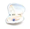 Ostriche con perle naturali tinte all'interno di perle Ostriche da festa alla rinfusa aperte a casa Ostriche di perle con confezionamento sottovuoto Gioielli di lusso Regalo di compleanno per le donne