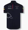 Camisa de corrida F1 verão nova camisa polo da equipe mesmo estilo de personalização