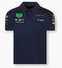 F1 Racing Poloshirt Sommer Team Kurzarmshirt im gleichen Stil individuell gestaltet