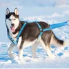 Dog Collars & Leashes Waterproof Pet Sledding Harness Reflective Dogs Weight Pulling Warm Padded For Winter Training Skijoring ScooteringDog