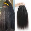 Kinky Straight Brasilian Micro Loop Ring Hair 100% Human Hair Extensions 16 "-30" i högkvalitativ 100 g