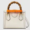 Top quality Diana Bamboo tote bag designer borsa Borse a tracolla in vera pelle borsa da donna pochette moda rainbowbag