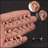 Dangle Chandelier Earrings Jewelry Zircon Small Stud Earring Single Shiny Mini Ear Ring Screw Fashion Studs Ears Pie Dhvbs