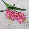 Jeden faux kwiaty krótkie łodygi lateksowe cymbidium 23 "Symulacja długości Cymbidium Faberi Rolfe Zielony liść na ślubne elementy centralne