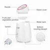 SPA Natural Fruit Facial Steamer Sauna Nano Mist Sprayer Moisturizing Face Thermal Humidifier Deep Beauty Instrument Home Use 220526