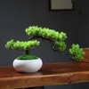 Simulazione Piante verdi Fiore artificiale Accogliente Pino Bonsai Ornamenti per la casa Casa da tè Decorazione del paesaggio Zen