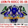 Corpo OEM para Honda CBr 600 RR F5 CC 600F5 05-06 Bodywork 144NO.26 CBR-600 CBR600 RR CBR600RR 05 06 CBR600F5 CBR 600CC 600RR 2005 2006 Faente de injeção de kit de injeção Greia brilhante cinza brilhante cinza brilhante