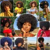 Синтетические парики для волос Короткие афро -странные вьющиеся парики для волос для чернокожих женщин Африканские синтетические пушистые и мягкие натуральные высокотемпературные парики Lizzy 220225