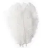 Plumes d'autruche blanches naturelles, décoration de fête, plumes colorées, Plumage de mariage, célébration décorative, 20-25cm, JLB14917