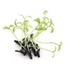 Whole 500pcs Nouveauté Plantes Lucky Grass Coils Clips Headwear Small Bud Antenne haricot Sprout Party Party Party Hd3401 -1276H