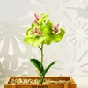 Dekorative Blumen 3D gefälschte Blume Mini Simulation Schmetterling Orchidee künstliche Phalaenopsis für DIY Home Draperie Wand Hochzeitsdekoration