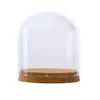 24 x dia12cm Clear Glass Display Dome Cover Cloche Bell Jar Succulent Terrariums With Wood Cork For Home Office Table Decor DIY