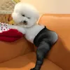Abbigliamento per cani animali domestici Funny Costume Celebrity PO Vestiti Medium e grandi calzini FornitSdog