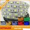 Strip 5050 SMD 12V 24V Light 5M LEDS أبيض دافئ أزرق أخضر لزينة المنزل