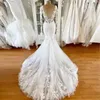 Luxury V Neck Mermaid Wedding Dresses Sexig full spetsapplikationer plus storlek illusion brudparty klänningar vestido de novia 2022