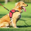 Colliers pour chiens laisses 45KG harnais réglable doux pour animaux de compagnie grand gilet de sortie pour sangle de poitrine moyenne accessoires pour animaux de compagnie