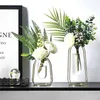 Nordic Simple Flower Pots Stand Iron Frame Decorative Terrarium Decor Glass Vase Home Decoration Accessories for Living Room 210409