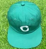 Classic Baseball Cap Brown Green Soft Top Casual Embroidered Flat Brim Peaked Cap Summer Breathable