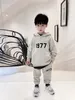 Kinder Jungen Mädchen Sets zweiteilige Outfits Herbst Winter Baby Jungen Baumwolle Kapuzen Hoodie Hosen Trainingsanzüge Kinder Casual Sportwear Kleidung