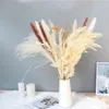 30pcs 45cm Pampas de caña orejas de trigo de conejo césped de la cola de conejo flores secas decoración de bodas heno para fiesta bohemian home301020696