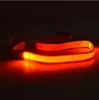 120 cm LED Nylon Glow Hunde -Leinen Haustiere Welpe Trainingsbänder Hund Blei Seil Leine Sicherheit Sicherheitsgurt Haustier Supply