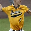 Xflsp Iowa Hawkeyes NCAA College Baseball Jersey Mens Womens Youth cucito qualsiasi nome Nmber Mix Order High Quailty