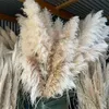 Decorative Flowers & Wreaths Large Pampas Grass 48"Dried Fluffy Natural Dried Home Boho Decor Country Wedding Pompas Floral DecorationD