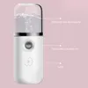 Portable Face Steam Humidifier Nebulizer Beauty Instrument Nano Mist Facial Sprayer for Personal Face Care Protection Care Tool