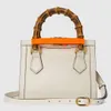 Top quality Diana Bamboo tote bag designer borsa Borse a tracolla in vera pelle borsa da donna pochette moda rainbowbag