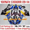 Kit OEM Bodys para BMW S-1000RR S 1000RR 1000 RR S1000-RR 09-14 149NO.4 S1000RR 09 10 11 12 13 14 S1000 RR 2009 2012 2012 2012 2013 2014 Failings Moldes Graffiti Green Green