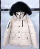 Designerjackor för män Winter Puffer Jacketrockar vadderade och förtjockade Windbreaker Classic France Brand Hooded Zip Warm Matter Designer Jacket