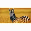 Towel Man Bath Shower Drying Zebra Pattern Bamboo Fiber Bathroom Outdoor Travel Sport Beach Towels 70*140cm