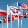 Nationale vlag 90cm * 150cm wervelgrootte en aangepast de andere nationale vlaggen Activiteitsbanner