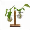 Vasi Home Decor Giardino Terrario Pianta idroponica Vaso da fiori vintage Vaso trasparente Cornice in legno Piante da tavolo in vetro Bonsai 510 R2 Dr