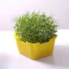 Pentagon Sprout Seed Trace Pots Warzywa Fasolka Wyrastająca sadzonka kwiat doniczka szalotka Taca roślinna HH22-182