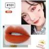 Lip Gloss 10 Colors Mini Cute Design Mattte Velvet Long Lasting Shining Air Glitter Glaze Waterproof Moisturize Makeup TSLM1