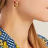 Womens Premium Gold Earring Designer Stud Earring Luxury Brand Letter Design F Earrings Fashion Jewelry207s