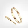 Titanium bangle armband voor minnaar maat 15-22 mode bruiloftsbangen Rose Gold S925 sterling zilveren paar armbanden cz met doos