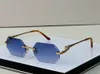 Lunettes de soleil design de luxe pour hommes hexagone sans monture unisexe hommes femmes mode léopard lunettes de soleil lunettes de conduite en métal designer UV400 F1135464