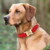 Colliers pour chiens Laisses Collier en cuir personnalisé Étiquette d'identification anti-perte pour animal de compagnie réglable pour petits, moyens et grands chiens