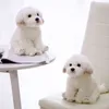 Bichon Fresh щенка фаршированная плюшевая собака объятие Cuddle милые симуляции домашние животные Пушистые кукол подарки на день рождения для детей J220704