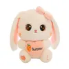 DOLL DE EAR RAIS PLUSH PLUSH LOVO POUCO DOLO DE CONFILHOÇÃO DE CONFILHO