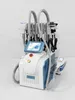 Bekväma sonder Cryolipolysis 3 Cryo Handtag Fat Freezing Cryolipo Sug Machine Viktminskning Fast med 40K Cavitation RF Laser Pad