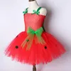 Baby Girls Tutu Dress Strawberry Princess Dresses for Kids Girl Birthday Costume Watermelon Halloween Christmas Costumes Toddler 220422