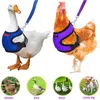 Bekväma Harness Leash Justerbar kyckling och andningsbar liten storlek Hen Pet Vest för Chicken Duck Goose Training Walking