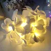 Dizeler LED 1.5m/3m Tatil Çiçek Işık Düğün Düğün Dekorasyon Peri Işıkları Noel Noel Dekoratif Çelenk Ayaktış