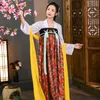Tend￪ncia de roupas ￩tnicas chinesas de hanfu tend￪ncia de chiffon bordado saia