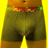 Onderbroek sexy heren plaid bokser shorts mode lage stijging ondergoed ademende mannelijke bulge penis pouch u convex slipje hommeununderpants